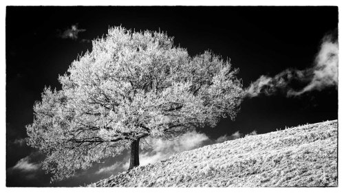 Eiszeit-Winterbilder (2)